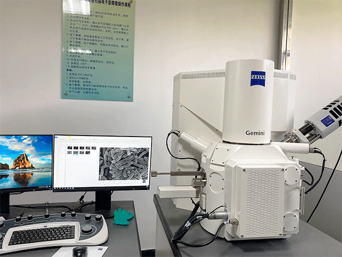 场发射扫描电子显微镜(FESEM)